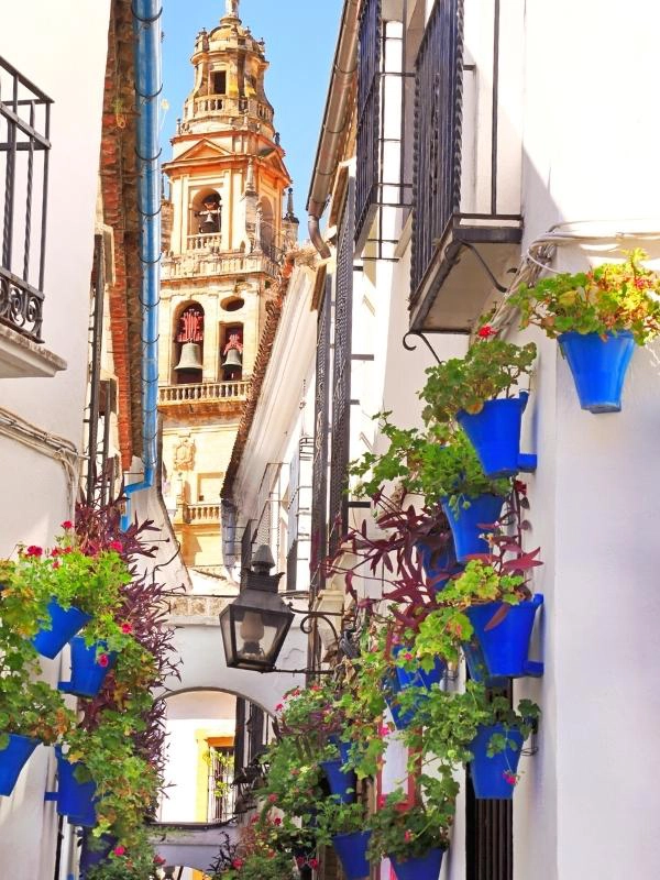 alley of white houses and flowers, with a bell tower at the end