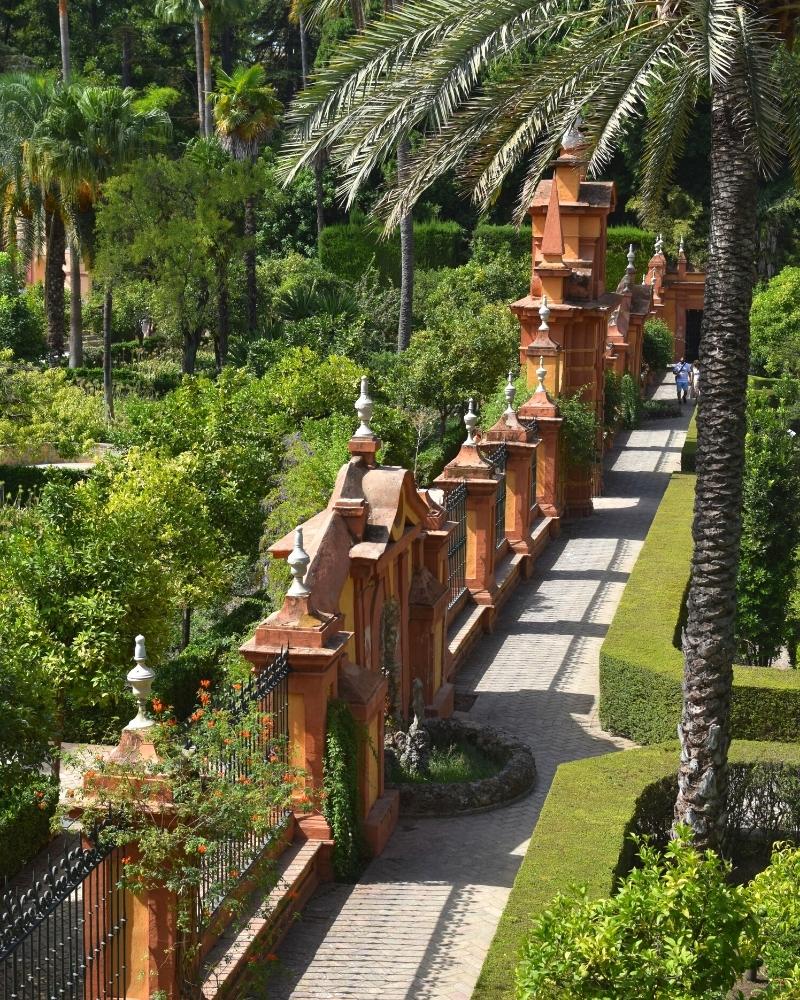 ornamental gardens with palm trees