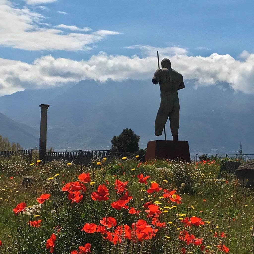 a sculpute overlooking a cloud covered volcano in Italy, with poppies and yellow flowers in the foreground