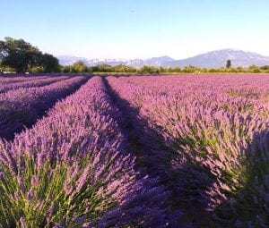 Motorhome Touring in France