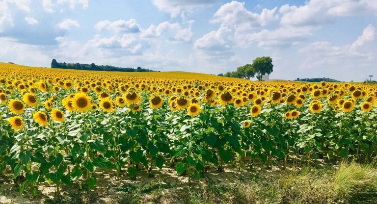 how to Tour France in a motorhome