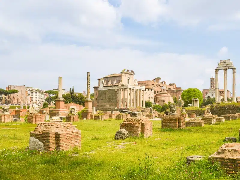 ancient ruins in a grassy field