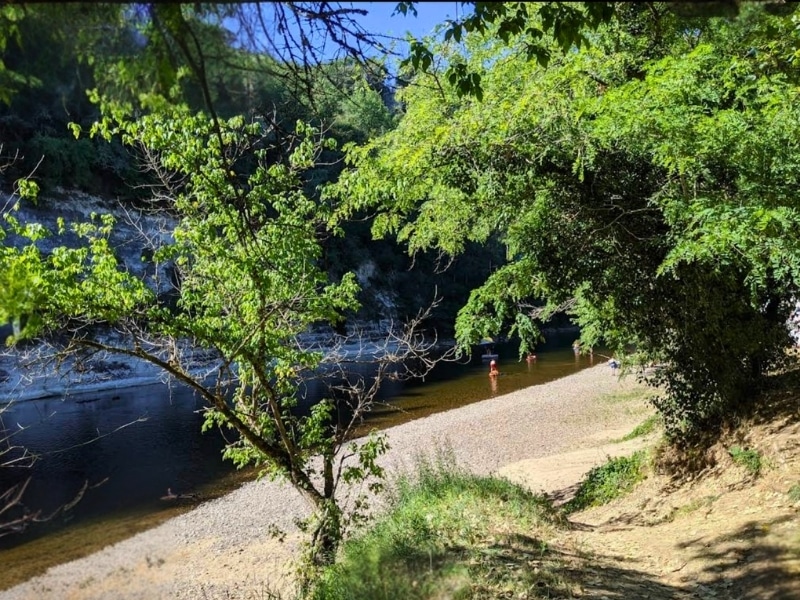 pebbly river beach surrounded by lush trees