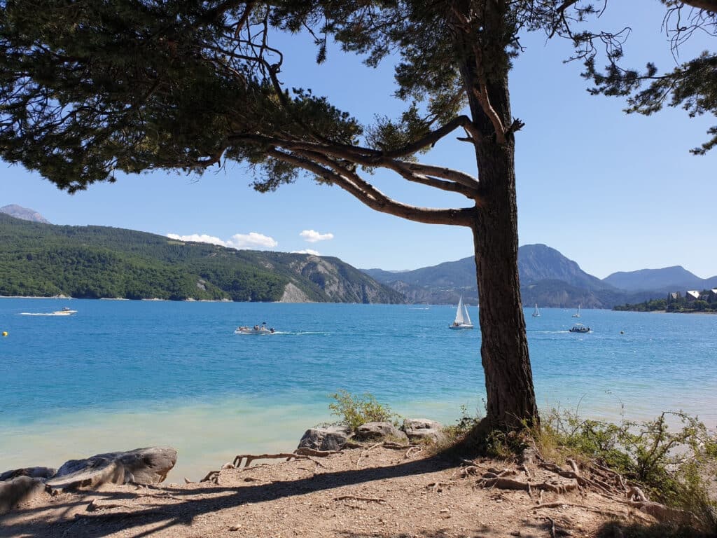 Turquoise lake seeb past a pine tree with sail boats and swimmers