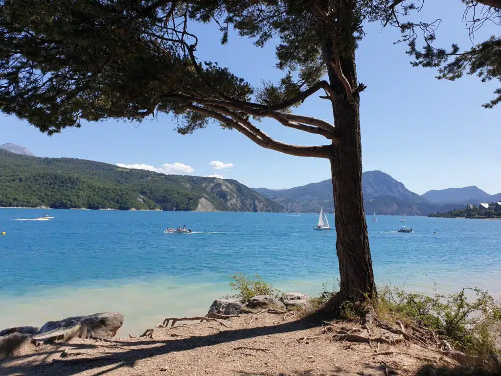 Turquoise lake seeb past a pine tree with sail boats and swimmers