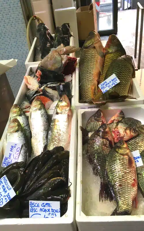 fish in boxes at an Italian food market