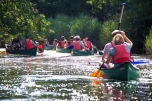 New Forest Activities