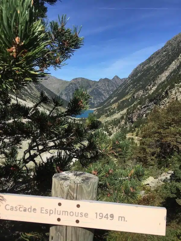 turquoise lake seen through pine trees and surrounded by mountains