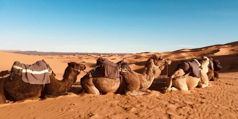 Sahara Desert Morocco