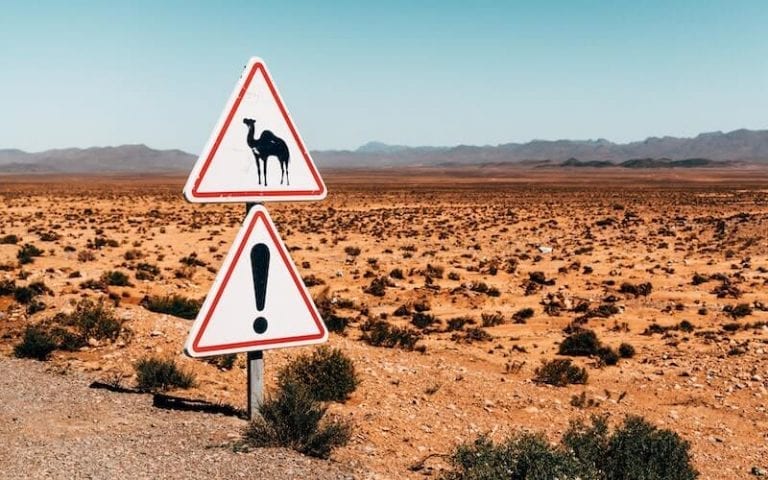 Driving in Morocco