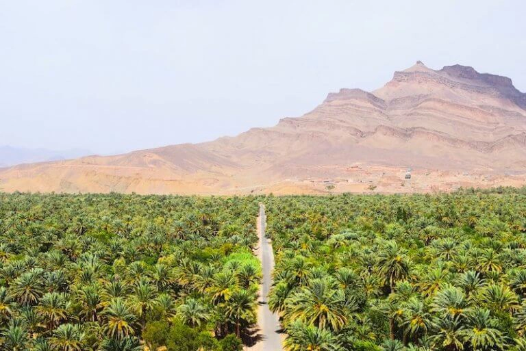 Driving in Morocco