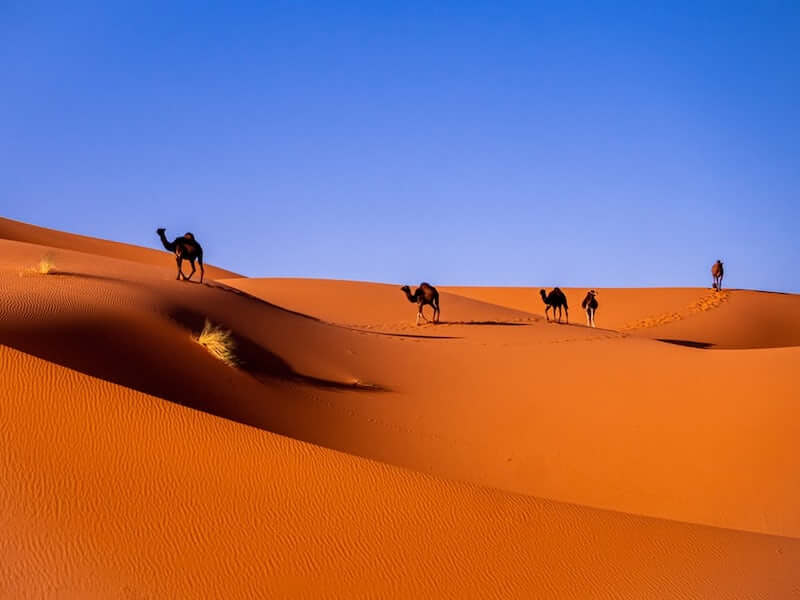 How To Go To Morocco Visit The Sahara Desert The Gap Decaders