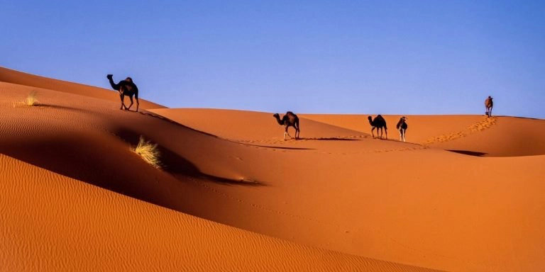 Morocco Sahara Desert