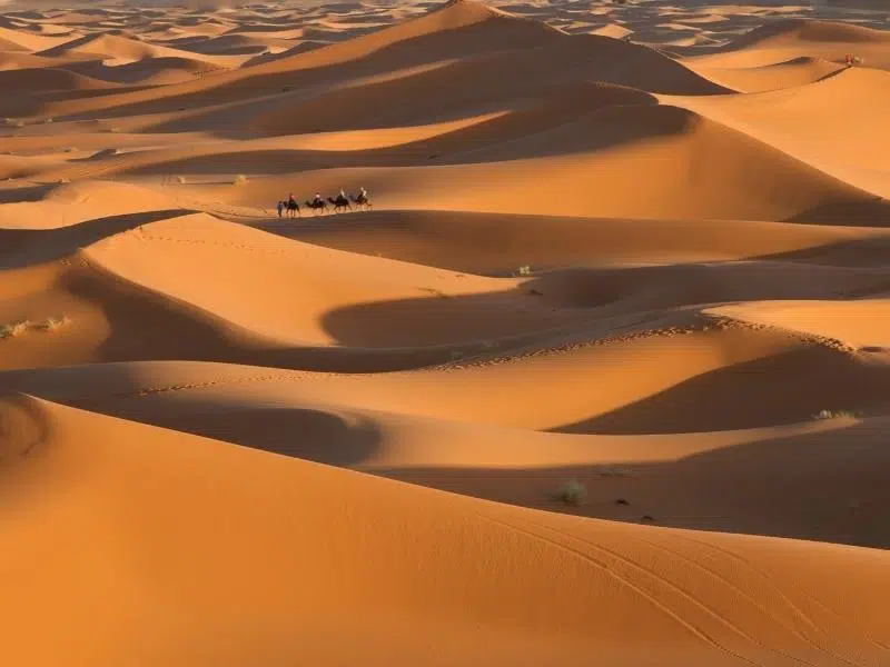 Camels and riders in the disatnce on sand dunes