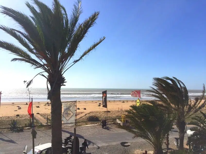 Palm trees swaying in the breeze in front of the Sidi Kaouki beach