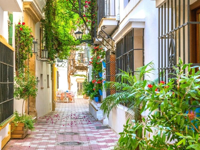 Paved street lined with white buldings and tropical plants