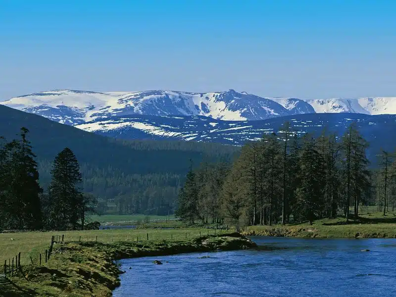 snow capped mountain range with water and fir trees in the foreground