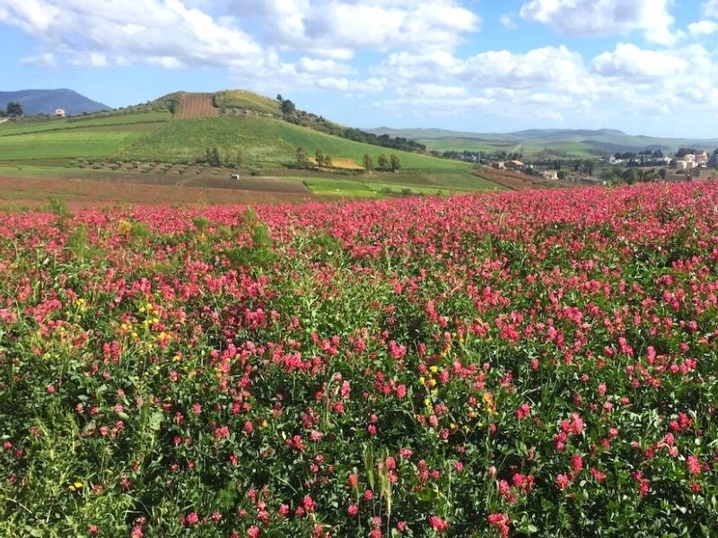 sicily trip itinerary