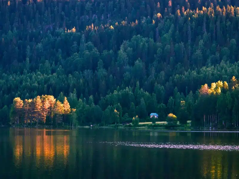 dark lake and forest with autumn trees highlighted by the sun