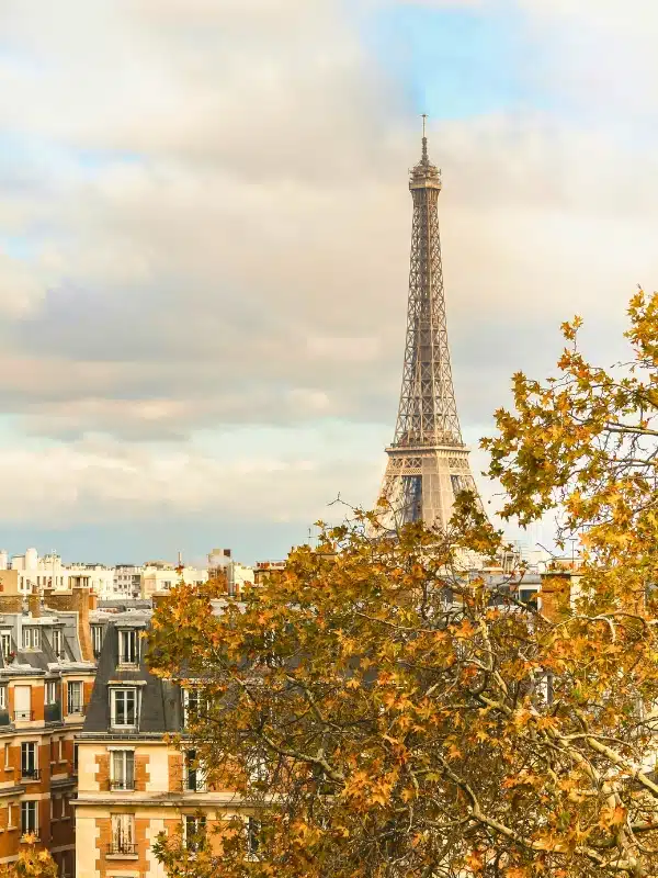 The Eiffel Tower seen through the brances of an autumnal Sycamore tree