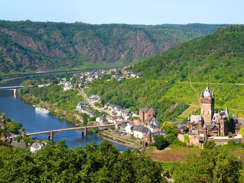 Castle and small town on a wide river surrounded by wines and trees