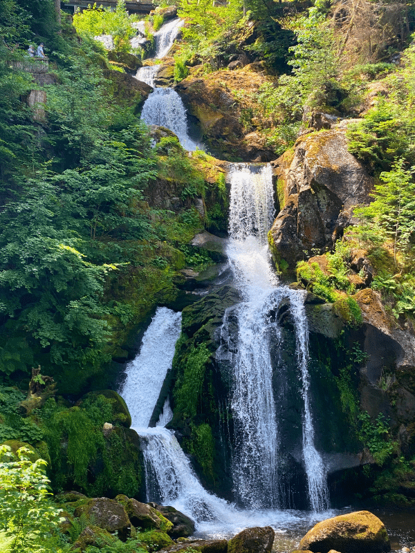 tall waterfall surrouned by moss and trees falling over several different levels