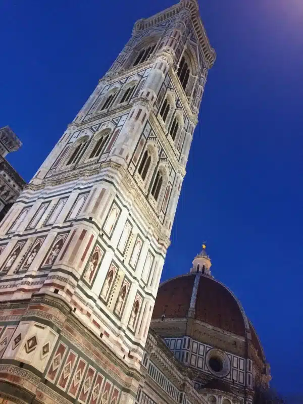 ornate square tower with tiled domed roof behind against the night sky