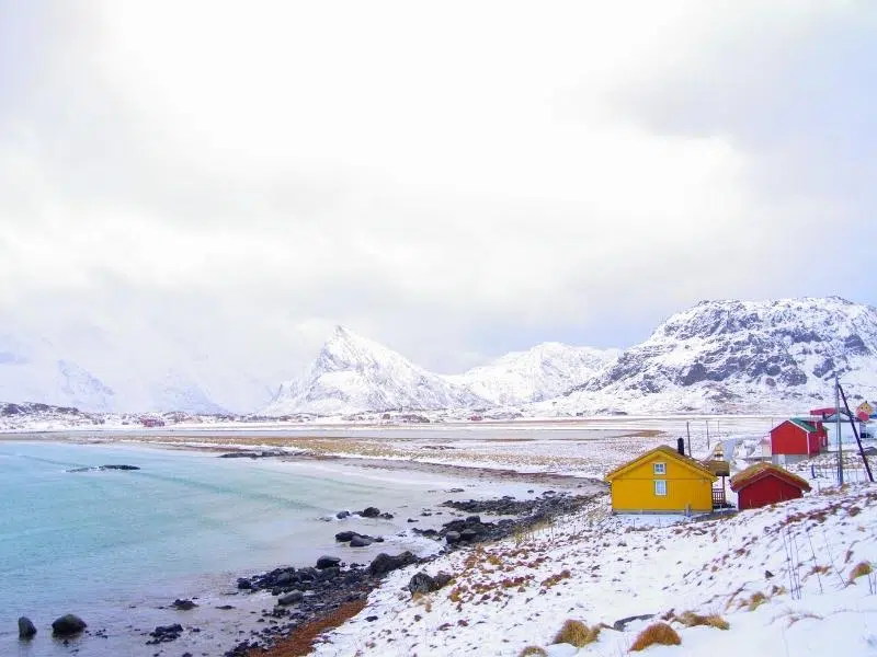 Yellow and red coloured sheds by a snowy beach 