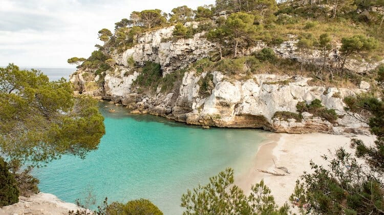 Green seas and rocky beach with cliffs and pine trees in Menorca