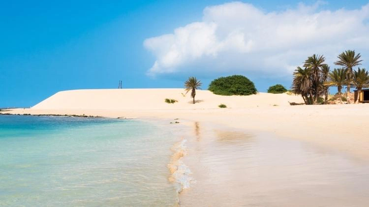 blue water against a sandy beach with palm trees