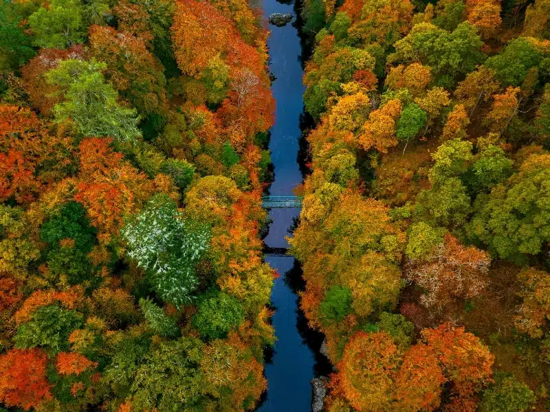 Autumn in the UK