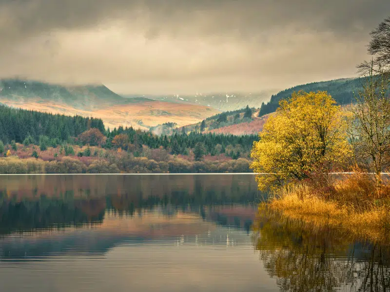 small lake surrounded by trees with a cloud obscured mountain in the background