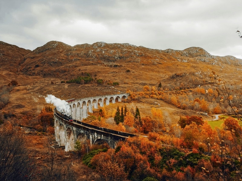 arched railway viaduct ina  valley of flaming orange trees with a steam train crossing it
