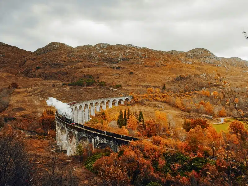 arched railway viaduct ina  valley of flaming orange trees with a steam train crossing it