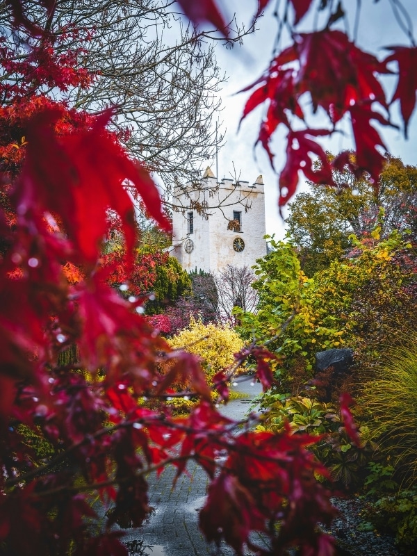 a stone church tower seen through autumn foliage