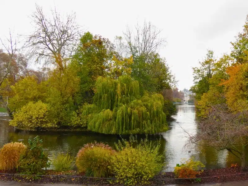 Pond surrouned by trees and bushes in autumn