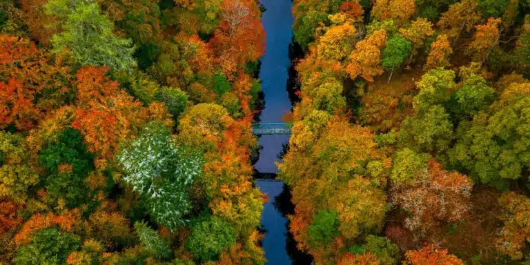 Autumn in the UK
