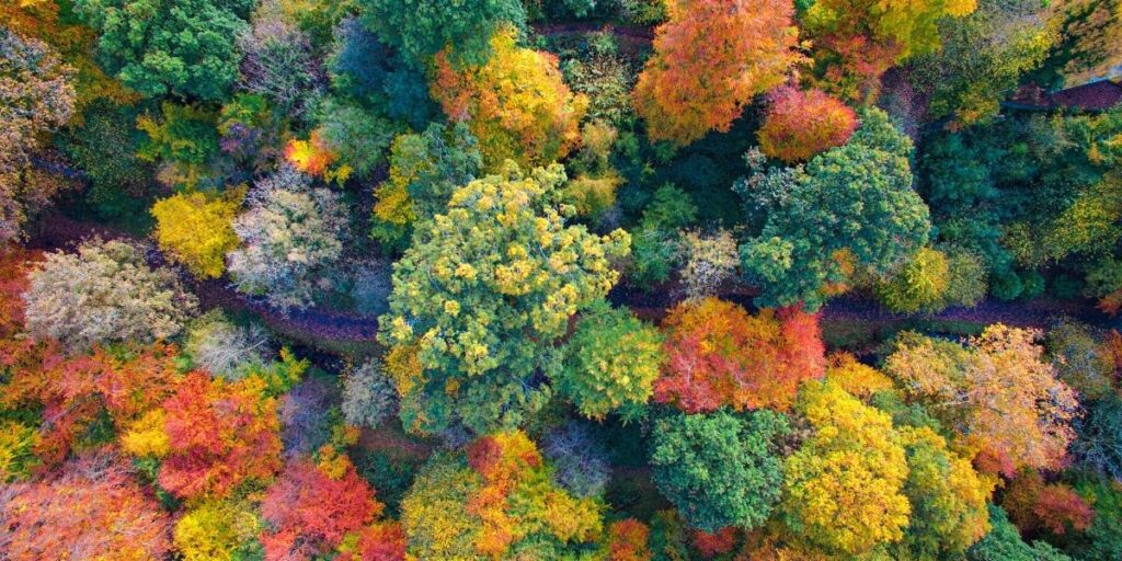 A Picturesque Autumn Retreat in North Wales