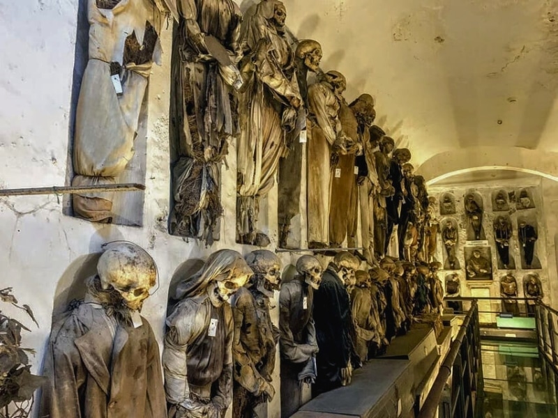 Mummified bodies on display 