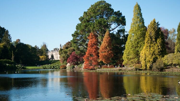 Sheffield Park Gardens, good for UK getaways October