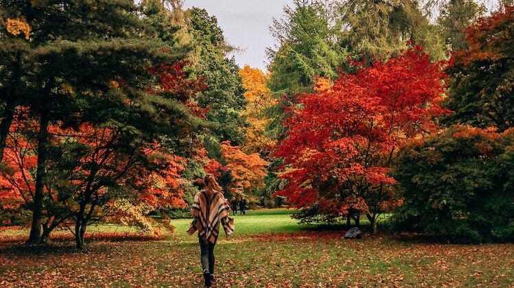 Westonbirt, a great place for autumn weekend getaways UK