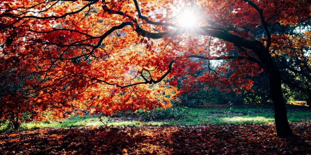 best places for autumn breaks uk