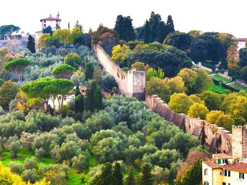 green trees either side of a historic wall