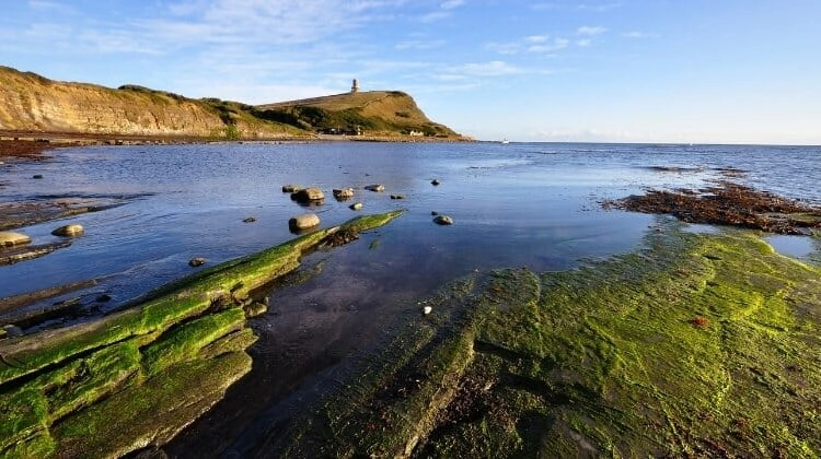 Kimmeridge Bay with the Clavell Tower in the background