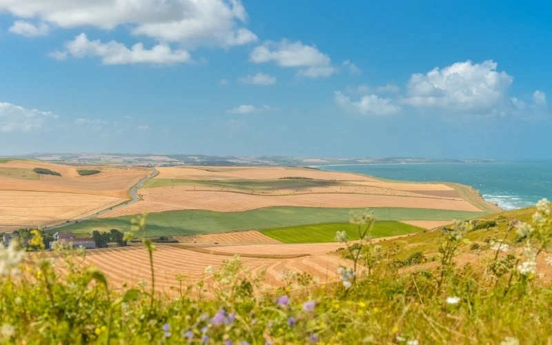 French fields, cliffs and sea