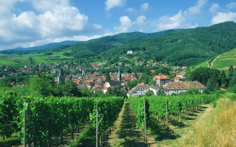 village vineyards France