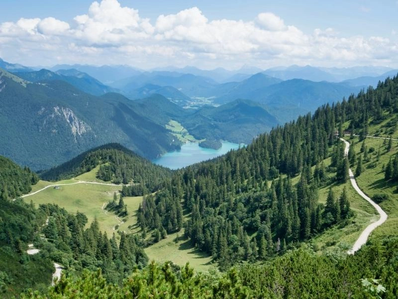 road through mountains and pine trees with a view of a lake