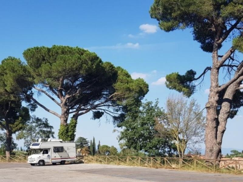 motorhome car parking Italy under huge umberalla pines