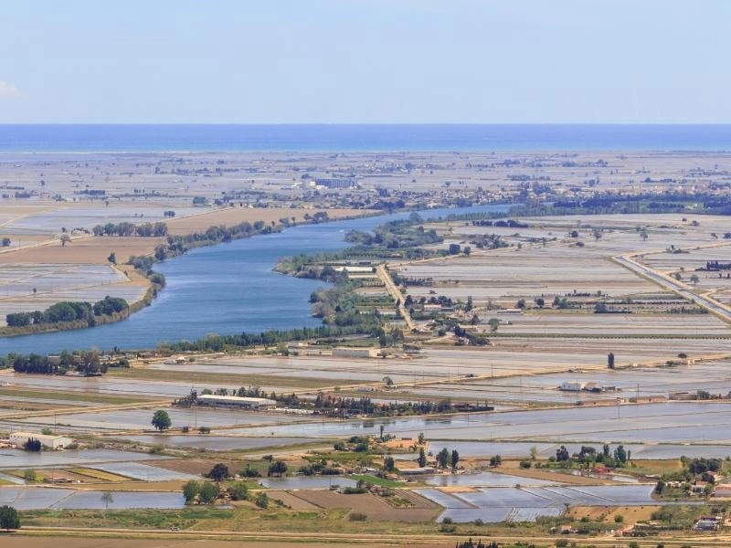 Flat rice fields bordering a blue river with the Mediterranen sea in the background in eastern Spain