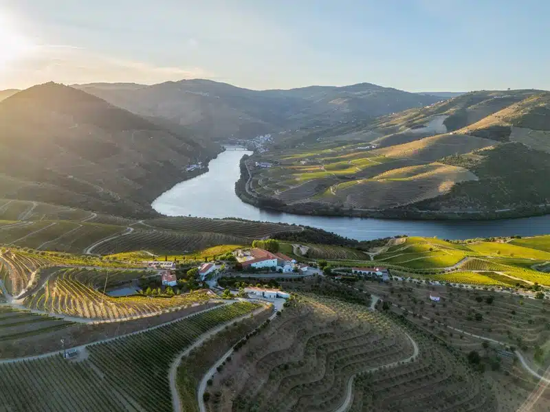 Drone view of a vineyard estate and small village beside the Douro River in Portugal's Douro Valley at sunset.